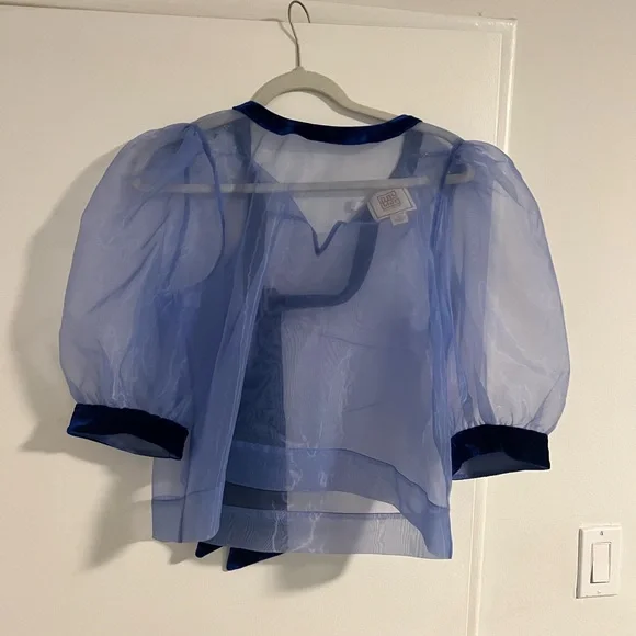 Sheer Blue Puff Sleeve Blouse - Picture 3 of 5